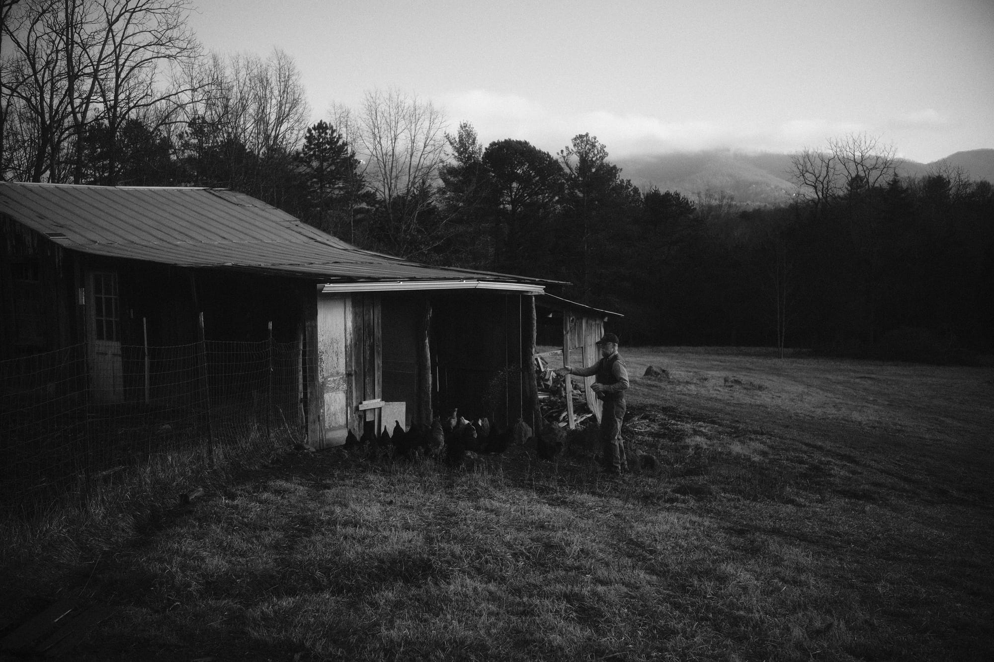 Porchlight: A Journal of Southern Literature